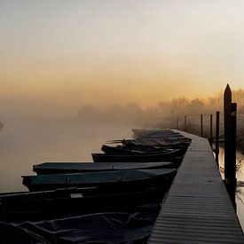 misty morning by Wanda Michielsen