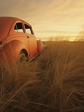 La Coccinelle VW oubliée