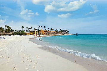 Palmenstrand auf Aruba auf den Niederländischen Antillen von Eye on You