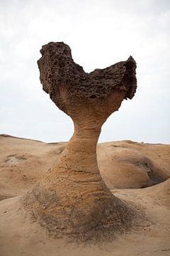 Yehliu Geopark: single rock erosion, Taiwan by Kees van Dun