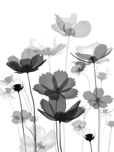 Fleurs noires et grises