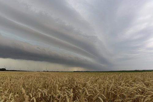 Zeewolde Flevoland