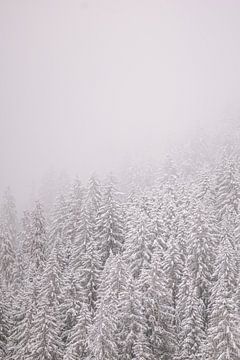 Dennen in de sneeuw van Marika Huisman fotografie