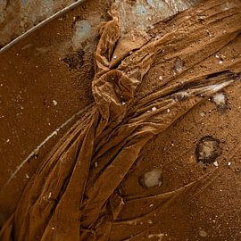 Rost von Monique van Velzen