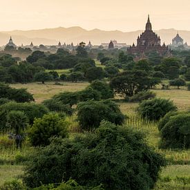 Bagan van Cindy Nijssen