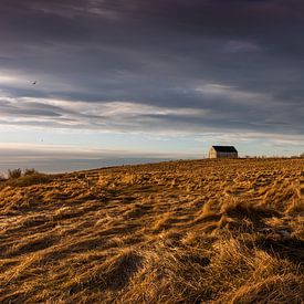 Klein huis tussen het gras op de heuvel van Maarten Borsje