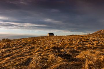 Klein huis tussen het gras op de heuvel van Maarten Borsje