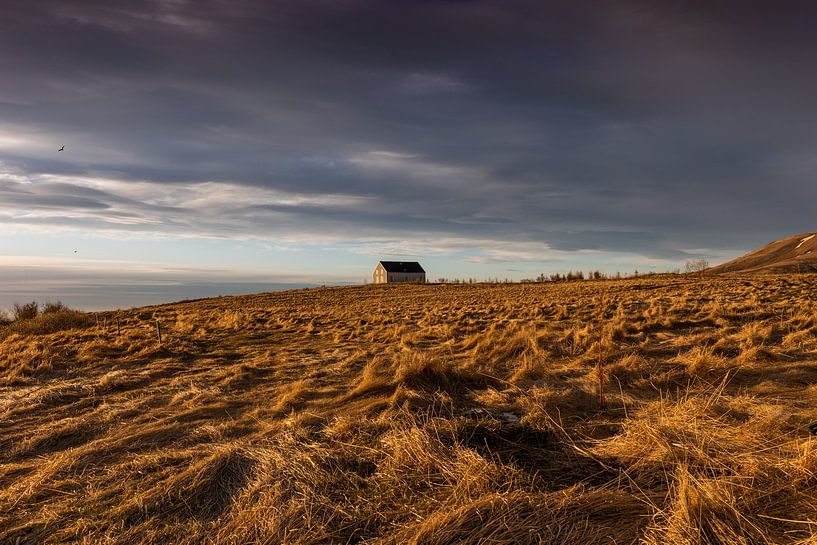 Kleines Haus im Gras auf dem Hügel von Maarten Borsje