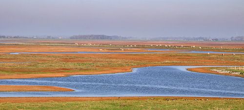 Plan Tureluur - Schouwen Duiveland
