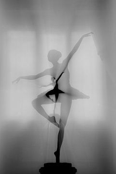 My Favorite Dancer, pphgallery  by 1x