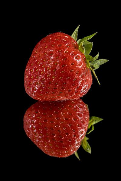 Strawberry by Marjolijn van den Berg