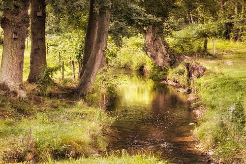 Beek met bomen en voorjaarskleur bij Vlodrop en Gitstappermolen