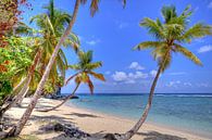 Bij Playa Fronton op het schiereiland Samaná van Roith Fotografie thumbnail