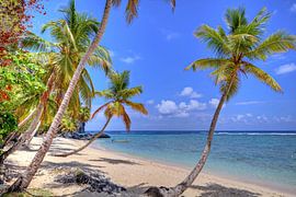 An der Playa Fronton auf der Halbinsel Samaná von Roith Fotografie