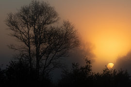 The Eternal Sea at Sunrise by Naturfotograf in Ostfriesland