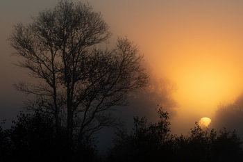 Ostfriesland - Ewiges Meer im Sonnenaufgang