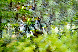 Digital art von Hermann Mock