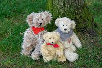 Teddy bears