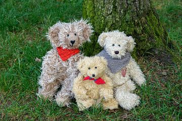 Teddy bears by Kirsten Warner