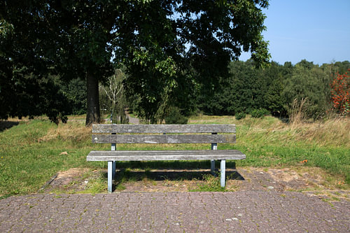Ontdek de natuur in een bosrijk gebied in Emsland, Nedersaksen, Duitsland