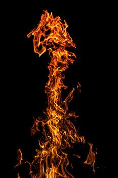 Dinosaurierskelett in Flammen