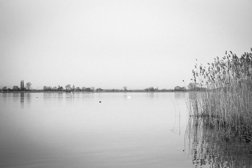 Veluwemeer von Liberty Biesma