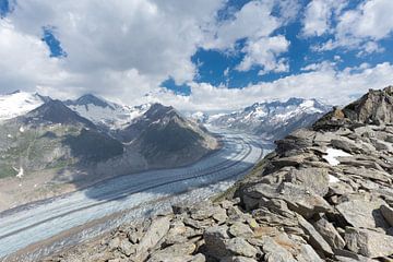De Grote Aletschgletscher gezien vanaf Bettmerhorn Zwitserland van Rob Kints