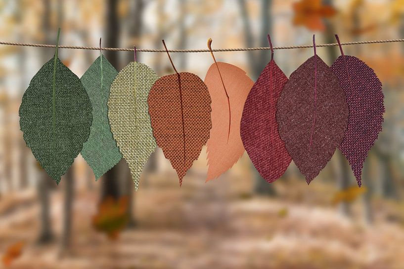 Autumn Vibes by Hello Pompoyo