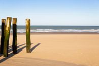 Strand van Marc Arts thumbnail