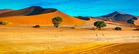 Langs de rode duinen van in de Sossusvlei,  Namibië van Rietje Bulthuis thumbnail