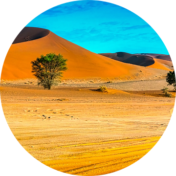 Langs de rode duinen van in de Sossusvlei,  Namibië van Rietje Bulthuis
