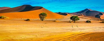 Langs de rode duinen van in de Sossusvlei,  Namibië van Rietje Bulthuis