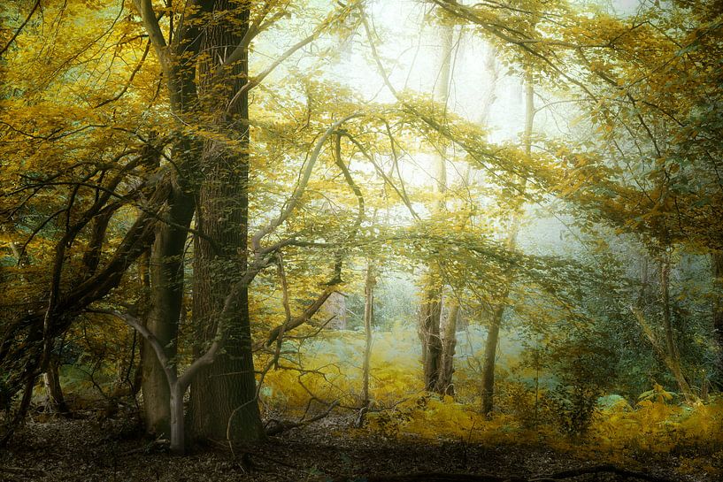 Yellow Mellow van Kees van Dongen