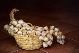 Ein Knoblauchzopf im Korb von Ulrike Leone