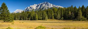 Moorlandschaft beim Lautersee, dahinter das Karwendelgebirge