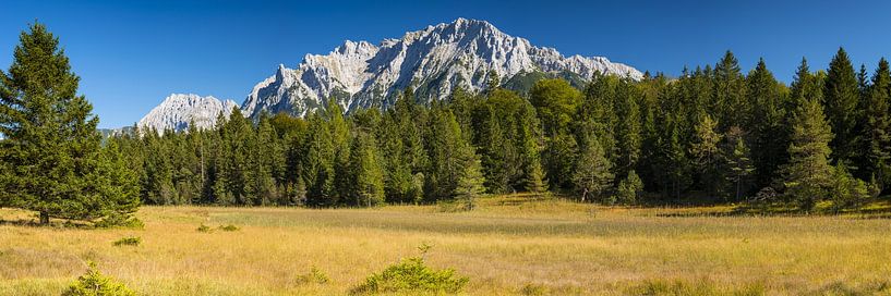 Moorland landscape near the Lautersee, behind it the Karwendel Mountains by Walter G. Allgöwer