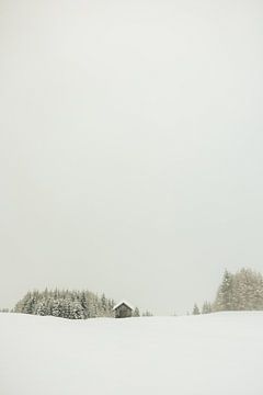 Schuurtje in de sneeuw van Marika Huisman fotografie