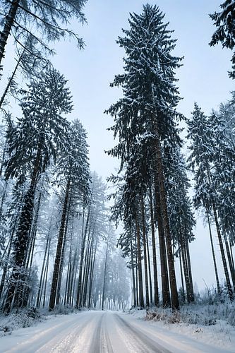 Frozen Silence