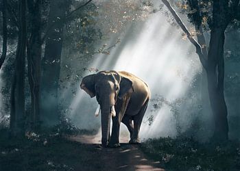 Elefant im Wald