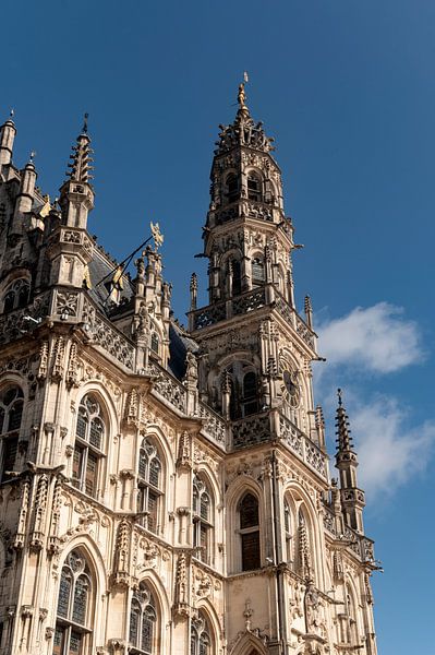 Oudenaarde Stadhuis van Richard Wareham