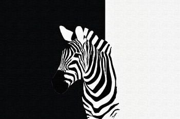 Minimalistisches schwarz-weißes Zebra-Porträt