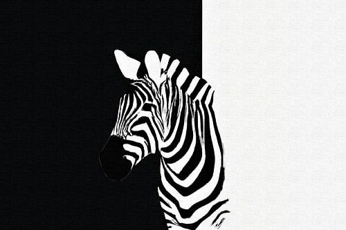 Minimalistisch zwart wit zebra portret
