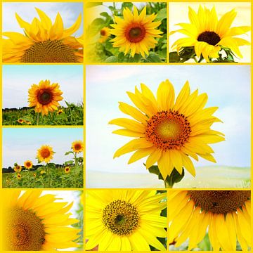 zonnebloem collage van M.A. Ziehr