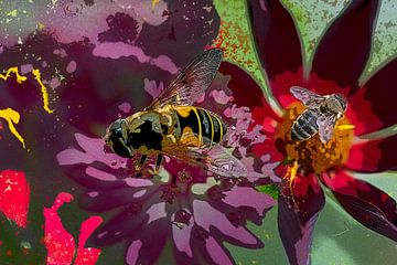 Insects on flowers. Summer by Alie Ekkelenkamp
