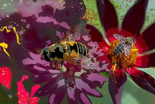 Insecten op bloemen. Zomer. Impressionisme.