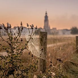 Auen mit Blick auf die Skyline von Zutphen in Herbststimmung. von M.J. Böhmer