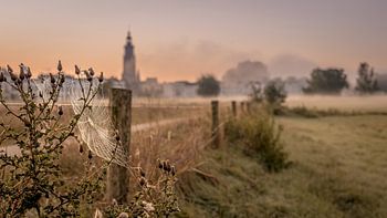 Floodplains with a view of the Zutphen skyline in autumn atmosphere.