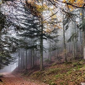 Savoyaardse herfst van samir Nashashibi