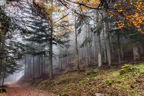 Savoyardischer Herbst