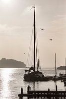 Platbodem in de nevel